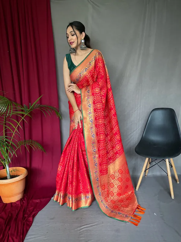 Red_Pure_Bandhej_Patola_Silk_Sarees_with_Minakari_Work_With_Blouse_Piece_Attached